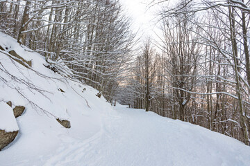 Fototapeta premium Bellissimo sentiero di montagna ricoperto di neve