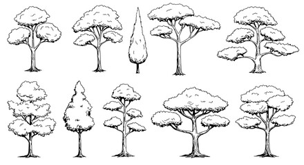 Ink Strokes: A hand-drawn collection of diverse trees in stark black and white, showcasing different forms and silhouettes for design or artistic purposes.