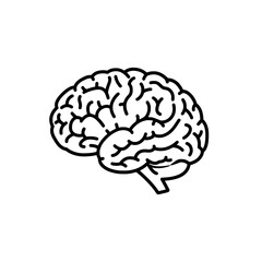Mind's Landscape: A monochrome depiction of the human brain, a symbol of thought, intellect, and the intricate world of the mind.