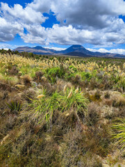 View at the landscape of Tongariro National Park in New Zealand