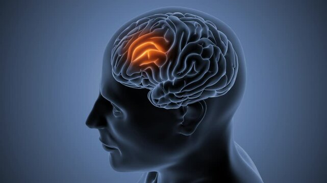 Neuroscience Brain Cancer medical concept