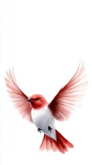 Obraz premium A vibrant red bird in flight, showcasing its graceful wings against a soft white background.