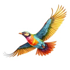 Fototapeta premium Rainbow Bird in Flight
