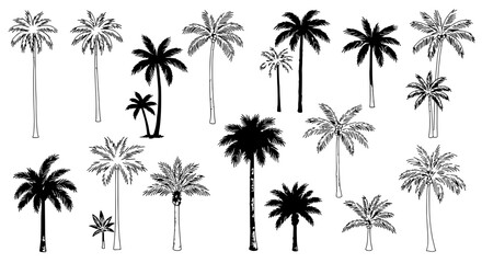 Palm Paradise: A collection of artistic illustrations, capturing the graceful silhouettes of palm trees in various forms.