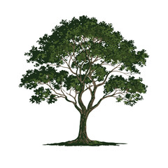 Obraz premium camo tree.eps