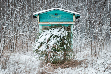 Authentic bee house, hive, covered with spruce branches for wintering.