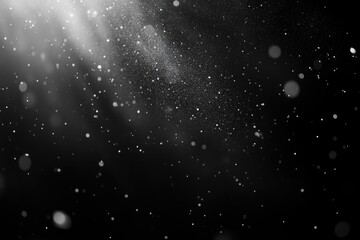 A close-up view of intricate snowflake patterns in black and white