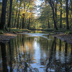 Fototapeta premium A tranquil scene of a calm river with reflections of the surrounding trees and sky