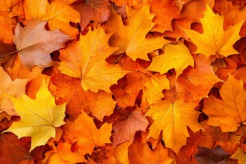 Pile of autumn leaves, seasonal display on forest floor, natural colorful background