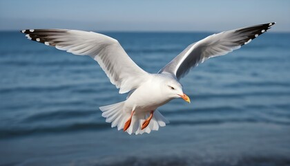 Seagull in Flight Over Ocean Waves