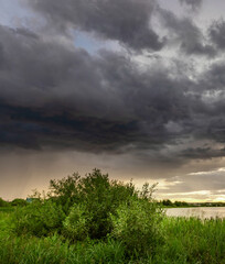 Stormy sky with a tree in the foreground