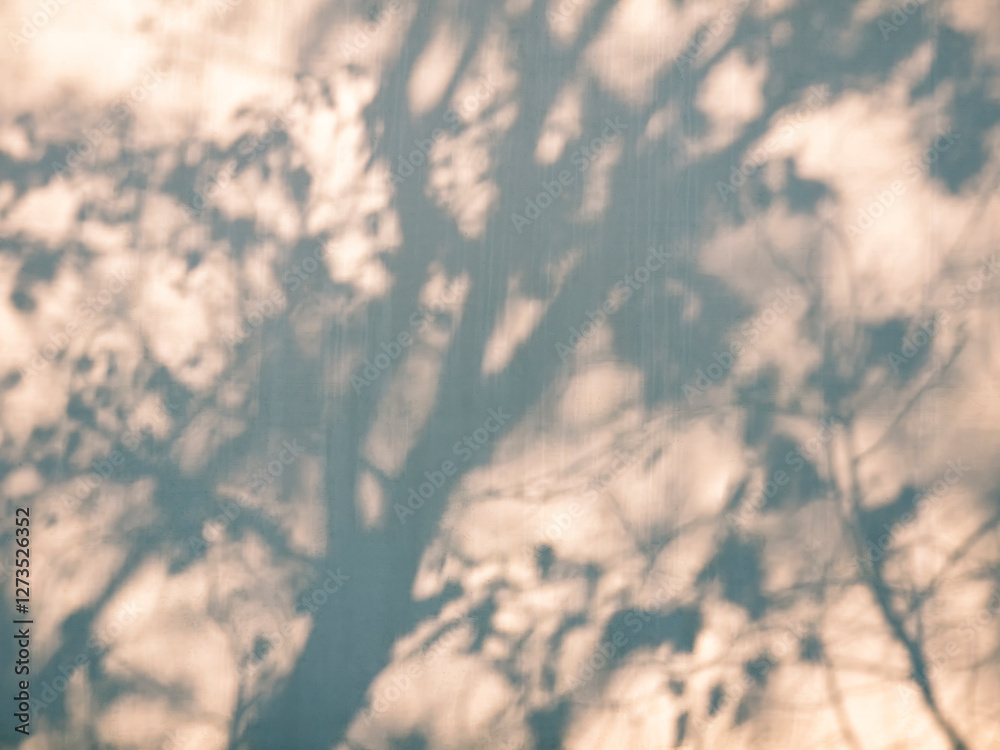 Poster tree branch shadow silhouette on wall warm light nature abstract background