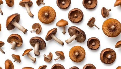 Brown Mushrooms Pattern, Top View