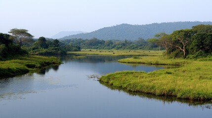 Fototapeta premium Serene River Landscape