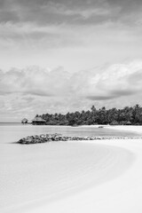 A tropical beach with lush green palm trees and soft white sand, creating a serene and relaxing paradise setting in Maldives
