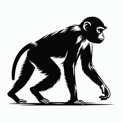 Fototapeta premium Monkey Silhouette Vector – Black and White Wildlife Illustration
