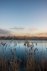 Beautiful blue hour on the lake, trees on the beach , sunrise over the lake with blue sky without clouds.Landscape photography on the pond , purple colors on the sky , trees and water , reflections 