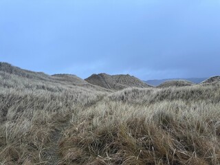 Obraz premium Serene landscape of grassy dunes under a cloudy sky, showcasing the natural beauty