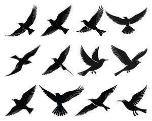 Fototapeta premium Silhouette Collection of Birds in Flight