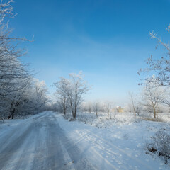 winter landscape. road in snow. tall trees in frost. natural winter landscape. forest in snow. ice on branches. snow and sun. walk in winter forest. sport in nature. seasons. symbol of time.