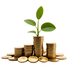 A neatly stacked pile of golden coins with a small green plant sprouting from the top symbolizes investment growth and prosperity on a transparent background PNG  