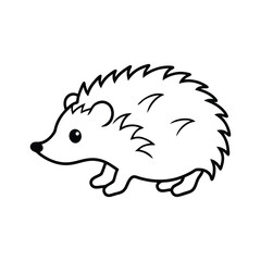 hedgehog on a white background