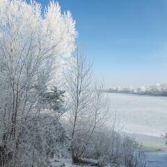 winter landscape. road in snow. tall trees in frost. natural winter landscape. forest in snow. ice on branches. snow and sun. walk in winter forest. sport in nature. seasons. symbol of time.