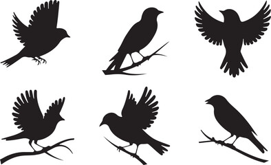 Sparrow silhouettes
