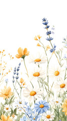 A detailed watercolor painting of white, blue, and yellow wildflowers on an isolated background with daisies
