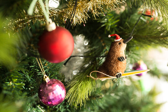 Platypus Christmas decoration hanging on a tree