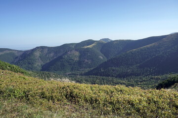 summer mountains area with clear sky and green grass, wildflowers. Nature landscape, Slovak