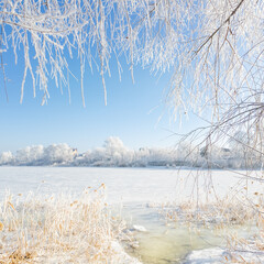 winter landscape. road in snow. tall trees in frost. natural winter landscape. forest in snow. ice on branches. snow and sun. walk in winter forest. sport in nature. seasons. symbol of time.