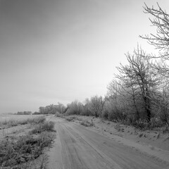 winter landscape. road in snow. tall trees in frost. natural winter landscape. forest in snow. ice on branches. snow and sun. walk in winter forest. sport in nature. seasons. symbol of time.