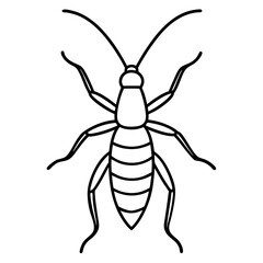 Minimalist Earwig Line Art Vector