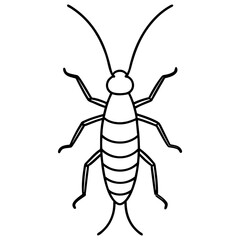 Minimalist Earwig Line Art Vector