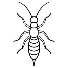 Obraz premium Minimalist Earwig Line Art Vector