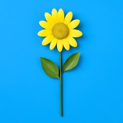 Fototapeta premium Single Vibrant Yellow Sunflower with Green Leaves Against a Solid Blue Background