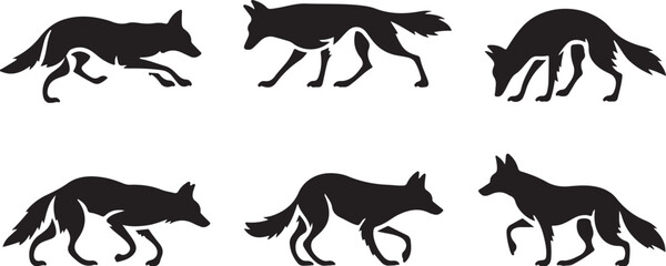 Obraz premium Coyote silhouettes
