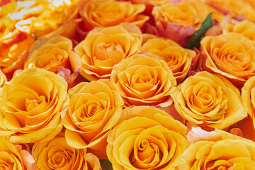bouquet of yellow roses closely grouped