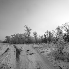 winter landscape. road in snow. tall trees in frost. natural winter landscape. forest in snow. ice on branches. snow and sun. walk in winter forest. sport in nature. seasons. symbol of time.