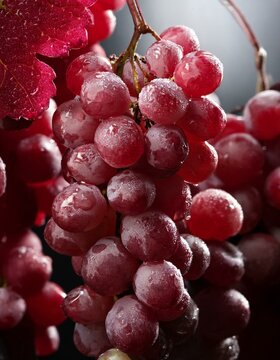 uvas rojas en las ramas de una vid