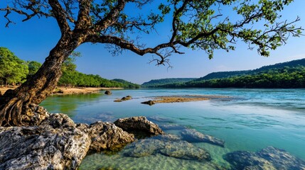 Serene River Landscape