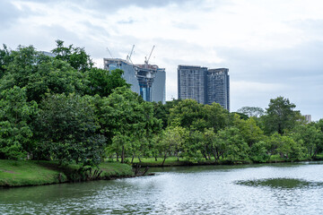 Serene Urban Oasis: Lush Green Park with Lake and Modern City Skyline Backdrop