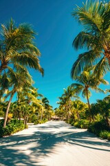 Fototapeta premium Palm trees line a sandy pathway on a tropical island, inviting relaxation