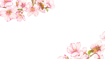 Fototapeta premium Frame of hand-painted watercolor illustration of fruit tree blossom with bees on flowers. The theme of farming, spring, bees, apiary, honey. Ideal for seasonal holidays, weddings, children's themes.