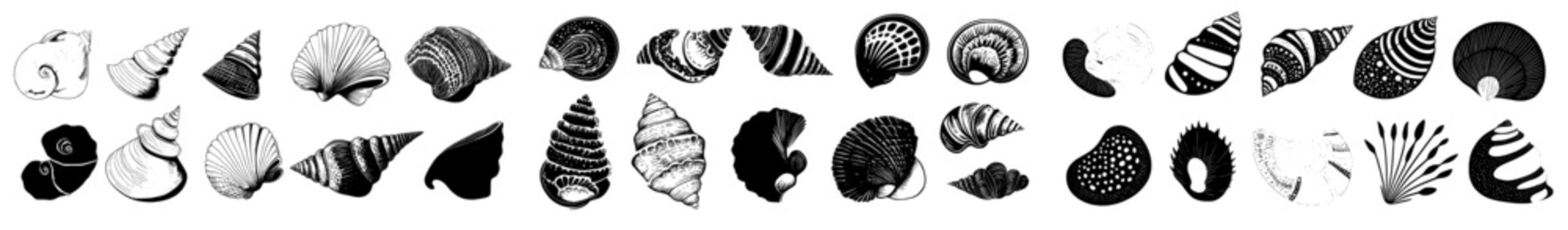 A collection of hand-drawn sea shells in freehand line art, featuring summer marine design elements and abstract pastel colors with liquid shapes. Modern illustration