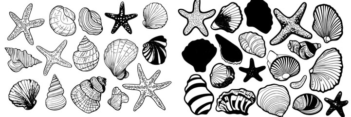 The modern minimalist icon set consists of hand-drawn contour drawings of seashells, including oyster mollusk and snail shells, in a simple linear style, perfect for summer beach doodles