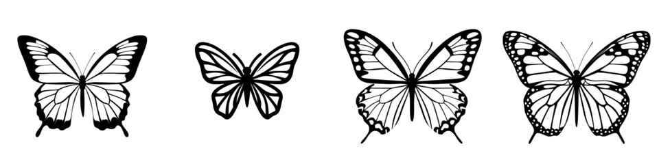 A butterfly is depicted in a hand drawn image with symmetrical wings that feature intricate patterns