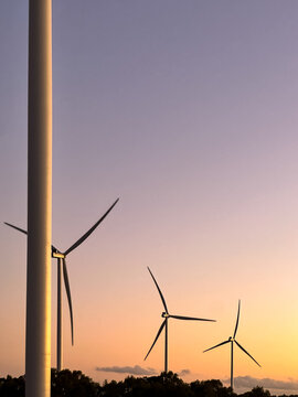 A cluster of wind turbines in silhouette seen at dusk