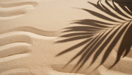natural neutral beige beach sand textured background with tropical palm tree leaf sunlight shadow silhouette simple lifestyle backdrop in earthy color